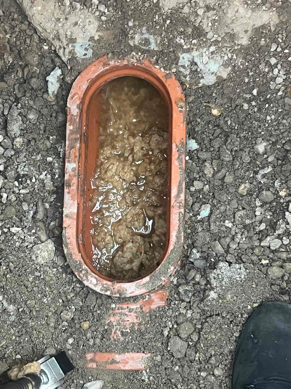 WC Verstopfung Rohrreinigung