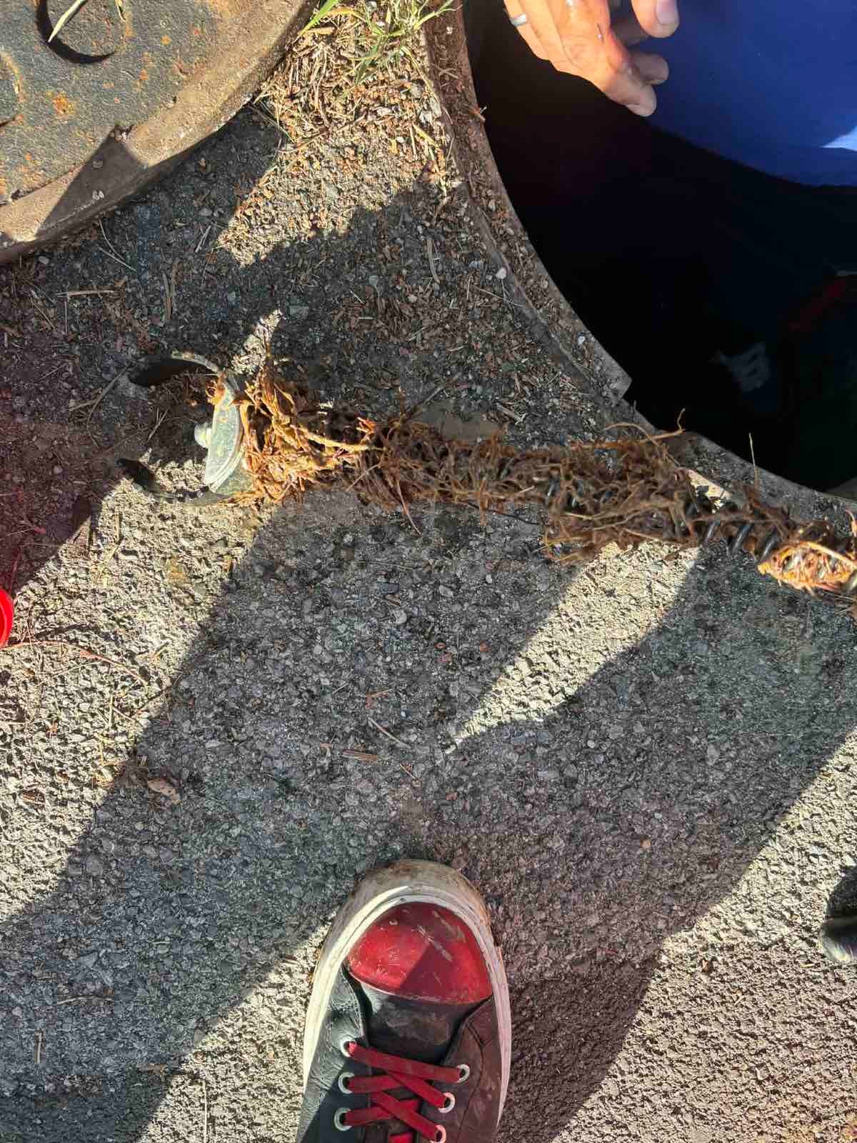 Rohrreinigung im Außenbereich